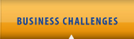 Business Challenges
